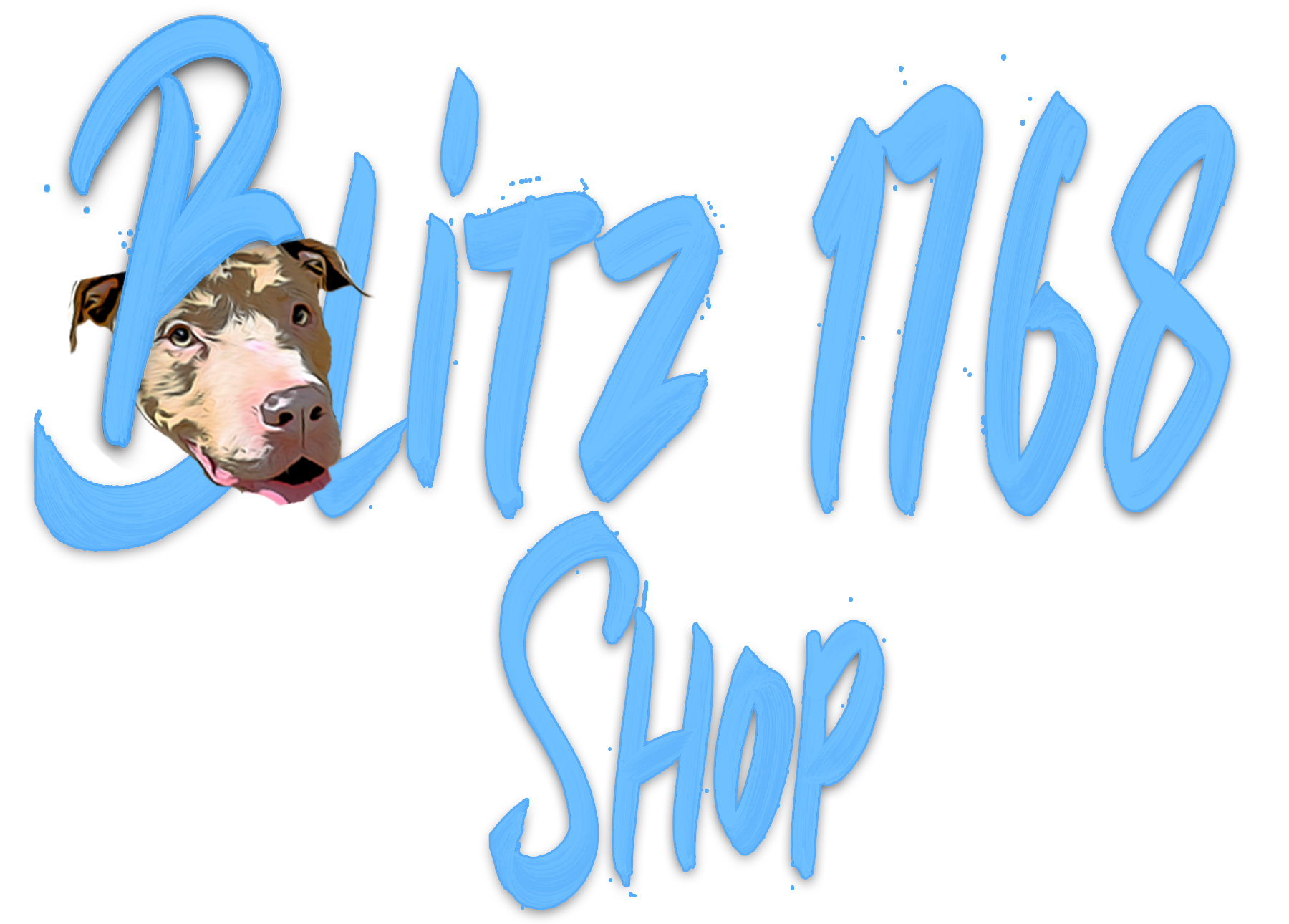 www.blitz1768.com